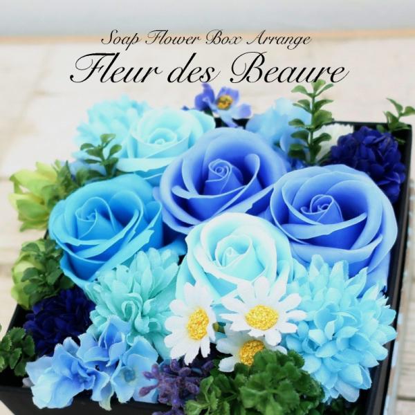  \[vt[BOXAW t[EfEr j 蕨 v[g Mtg ̓