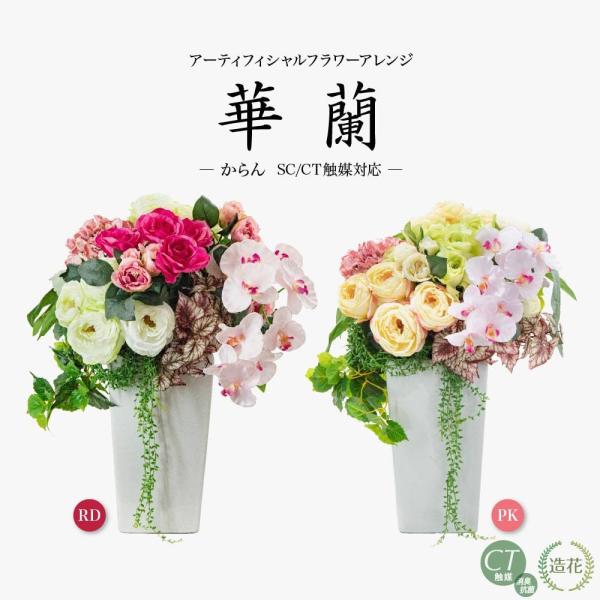  A[eBtBVt[ ؗ  픫 蕨 j CTG} v[g Mtg ̓