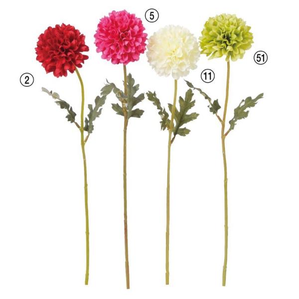 asca ||} e ԍ   ~ @v @ d   A-31992