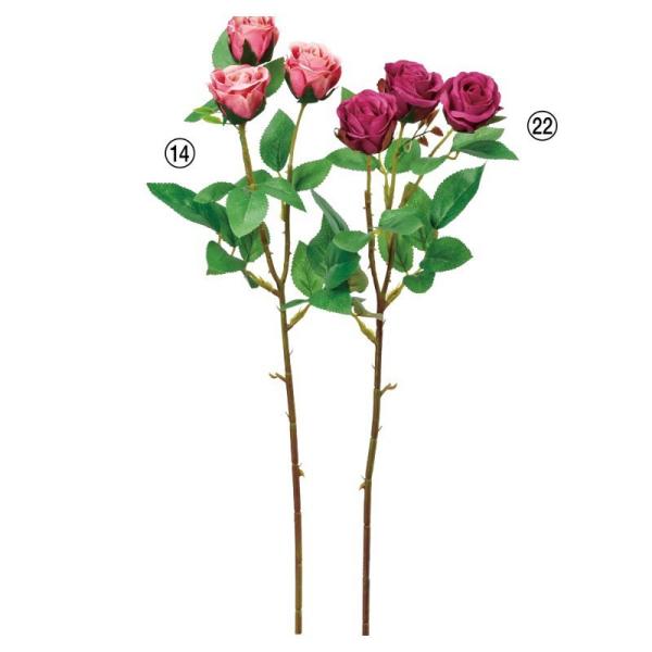 薔薇　3号 日本花キ流通 予約販売 ミニバラ ゼブラ 3号ポット 四季咲き