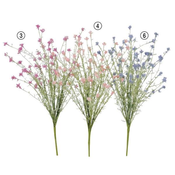 asca ~jt[ubV ԍ  A-33589