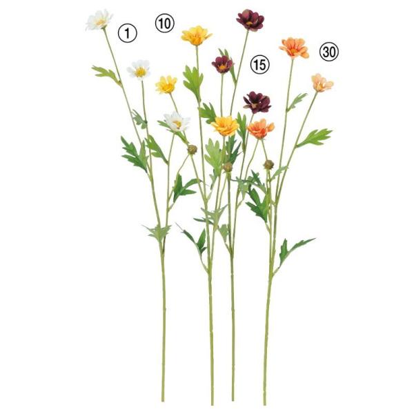 asca ~jRXXi3 ڂ1j ԍ  A-33621