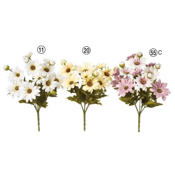 asca f[W[ubV ԍ  A-33785