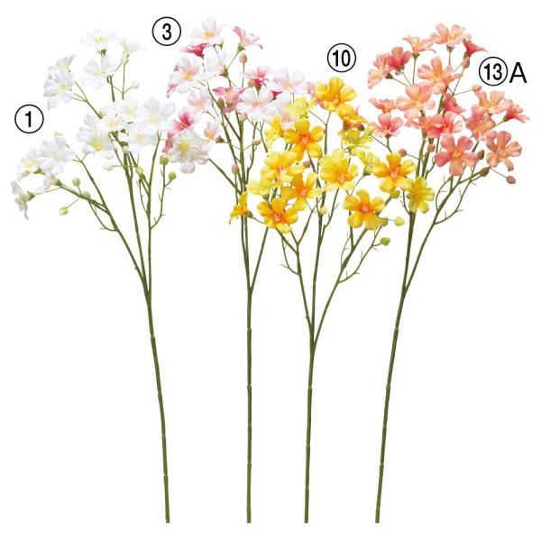 asca ~jt[Xv[i19 ڂ14j ԍ  t[  fBXvC AWg 