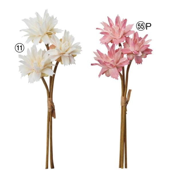 asca ~jt[o`(13{) ԍ  t[  fBXvC AWg 