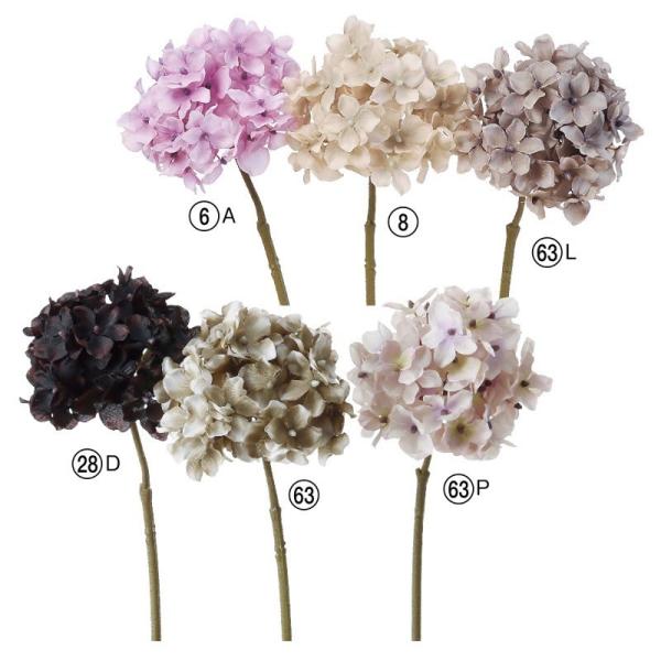 asca nChWA ԍ  A-39579