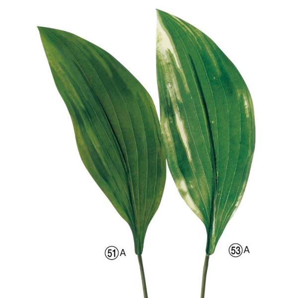 asca zX^[tiM{EVj ԍ  A-41040