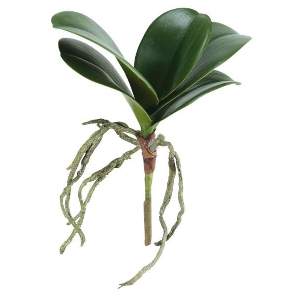 asca I[Lbh[t ԍ   ~ @v @ d   A-42565