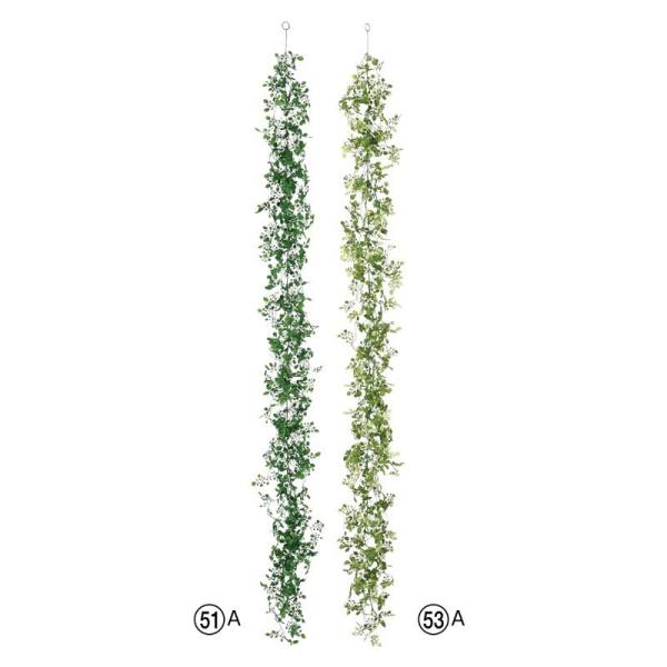 asca ~j[tK[h ԍ  A-42813