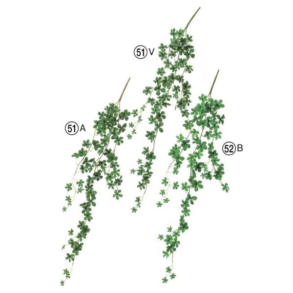 asca ~jVTXACr[oC ԍ  A-43082