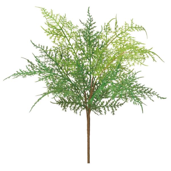 ■仕様・規格：L40cm×W27cm、葉長=20cm■素材：ポリエチレン・紙テープ■触媒：SC/CT触媒対応・(セルフクリーン触媒、又はCT触媒)とは、電子の受容体と供与体から構成され、酸化・還元反応を同時に起こし、悪臭成分や細菌を分解しま...