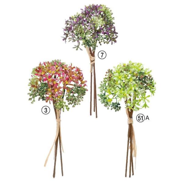 asca ~jt[o`i13{j ԍ  A-47836