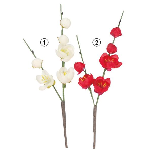 ԍ asca ~sbNi6ցj  A-73289