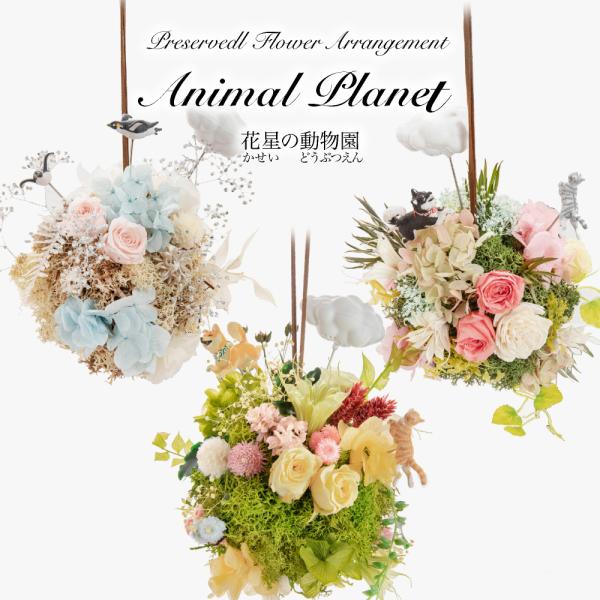 ハンドメイド 花束 動物モチーフ anipla_5.jpg
