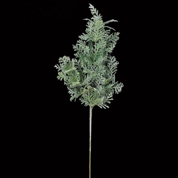 NX}X Xmas asca V[_[Xv[  AX67979