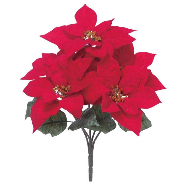 NX}X Xmas asca xxbg|CZ`AubVi5ցj  t[ AX69079