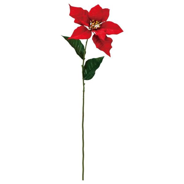 NX}X Xmas asca |CZ`A  t[ AX69759