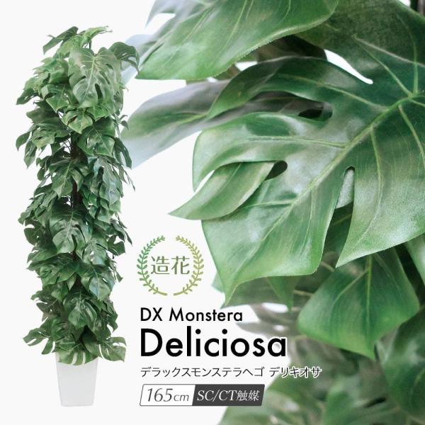 tFCNO[ ^ p[e[V ډB ϗtA lHϗt G} A  / DXXewS fLIT 165cm