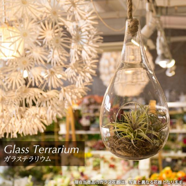 tFCNO[ ϗtA lHϗt  ~j  G} KXeE nMO  43.5cm