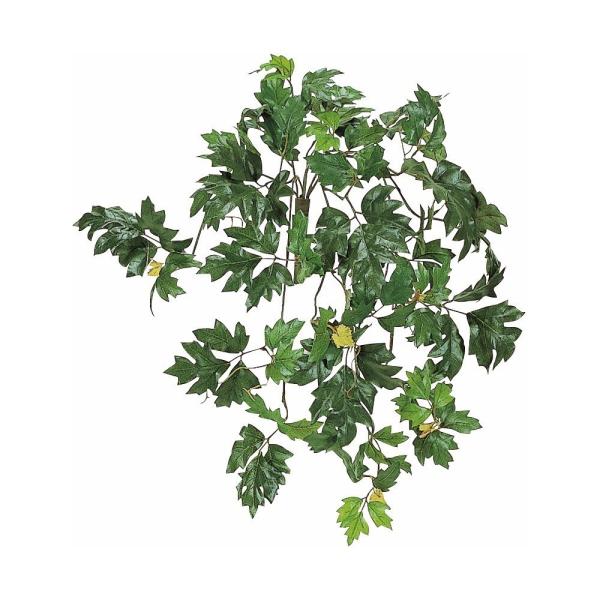 tFCNO[ G_jJ 60cm ubV ϗtA  lHϗtA G} CTG} CeA BB392