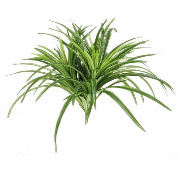 tFCNO[ u(CgO[) 37cm ubV ϗtA  lHϗtA G} CTG} CeA BW478