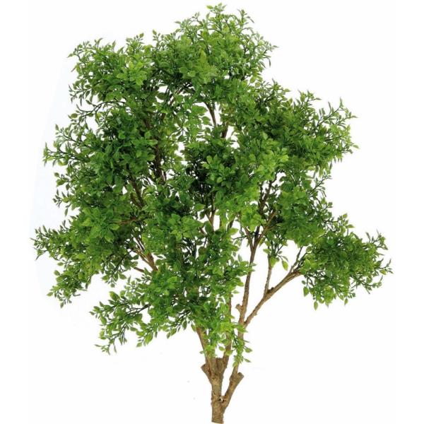 ϗtA  OΉ eB[[t 66cm ubV lHϗtA tFCNO[ G} CTG} CeA PB853