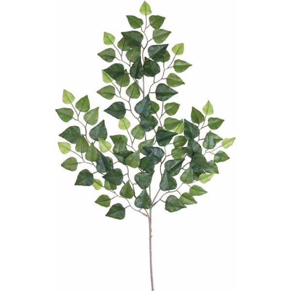 tFCNO[ Vo[o[` 70cm XvC } ϗtA  lHϗtA G} CTG} CeA SB1213