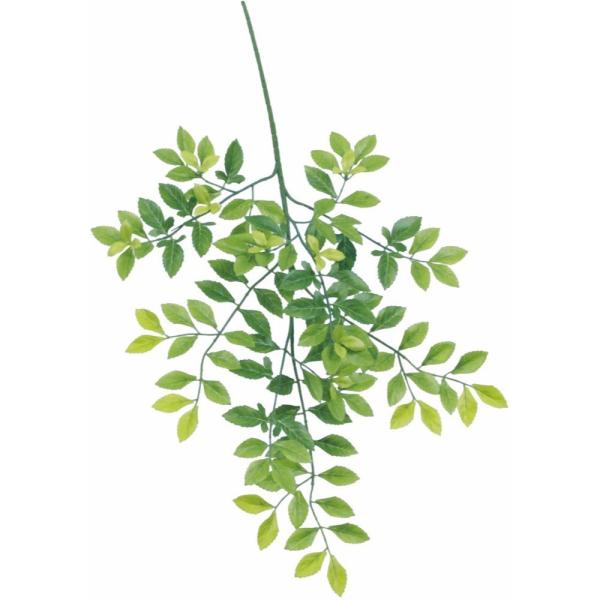 tFCNO[ S[f[t 60cm XvC } lHϗtA ϗtA  G} CTG} CeA SB1214