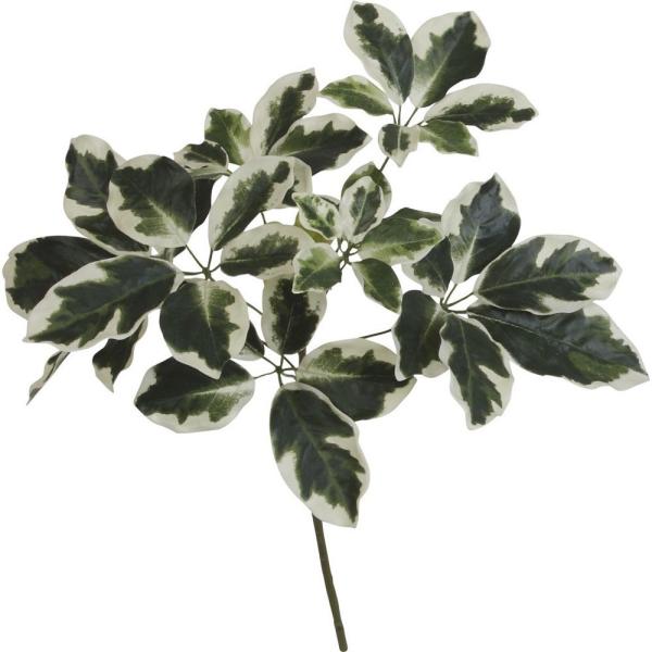 tFCNO[ VFt(tC) 60cm J|bN XvC } ϗtA  lHϗtA G} CTG} CeA SB1223