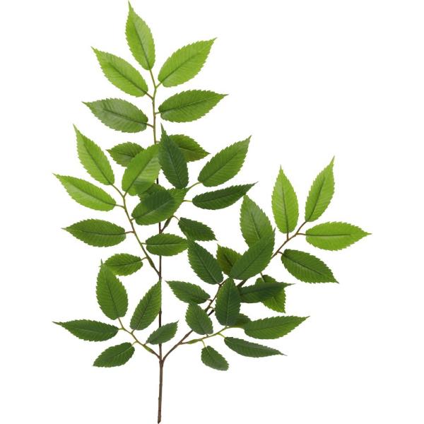 tFCNO[ lH ϗtA  PL 55cm XvC } tFCN O[ G} CTG} CeA  SB1239