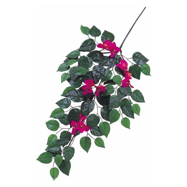 tFCNO[ u[QrA(o[KfB) 77cm XvC } ϗtA  lHϗtA G} CTG} CeA SB56-01