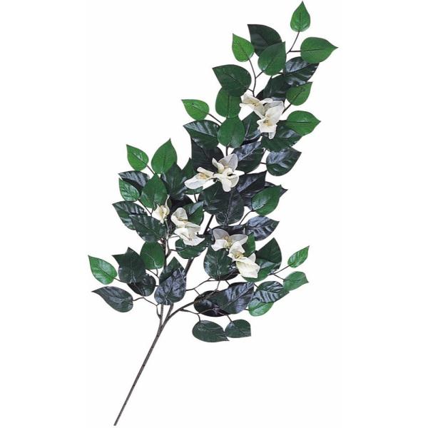 tFCNO[ u[QrA(zCg) 77cm XvC } ϗtA  lHϗtA G} CTG} CeA SB56-02