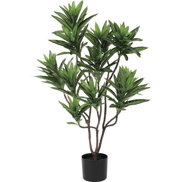 tFCNO[ lH ϗtA  A^b` \OIuW}CJ() 105cm hZi K̖ tFCN O[ TB1882