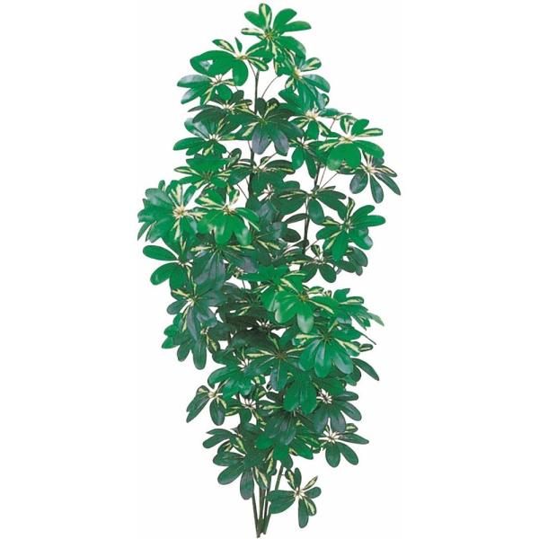 tFCNO[ ^ VFt(tC) 180cm J|bN  ϗtA  lHϗtA G} CTG} CeA TB938-18