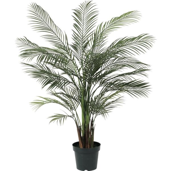 tFCNO[ lH ϗtA  AJp[ 155cm tFCN O[ G} CTG} CeA  TP1881