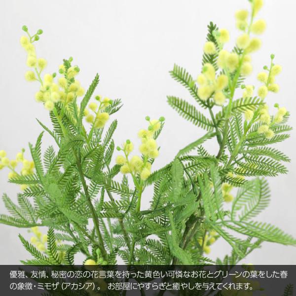 人工観葉植物 造花 大型 Fian ミモザ 94cm アカシア 鉢植 陶器鉢 フェイクグリーン インテリア ミニ 光触媒 Ct触媒 リアル 消臭 おしゃれ Buyee Buyee Japanese Proxy Service Buy From Japan Bot Online