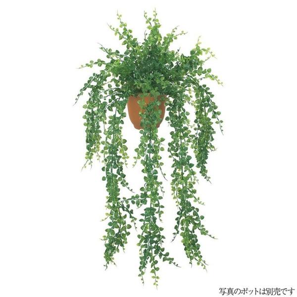観葉植物 アジアン ハンギングの人気商品 通販 価格比較 価格 Com