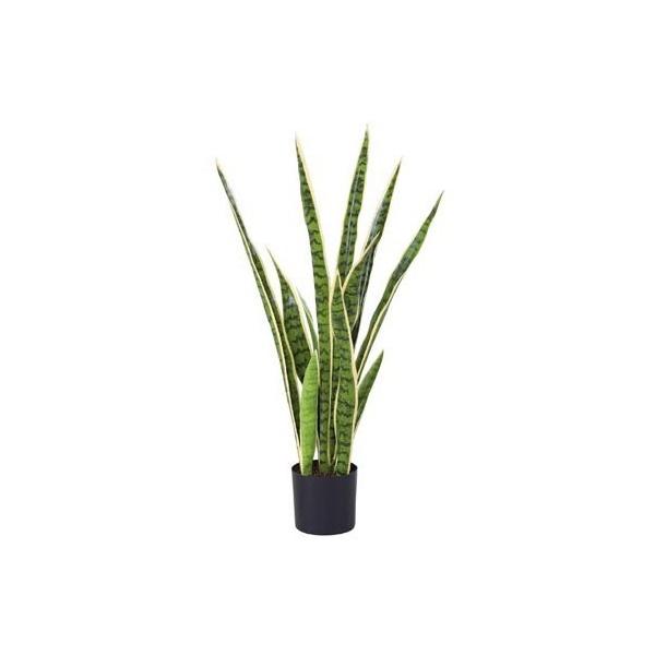 観葉植物 サンスベリア 光触媒の人気商品・通販・価格比較 - 価格.com