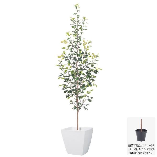 フェイクグリーン 大型 屋外の人気商品 通販 価格比較 価格 Com