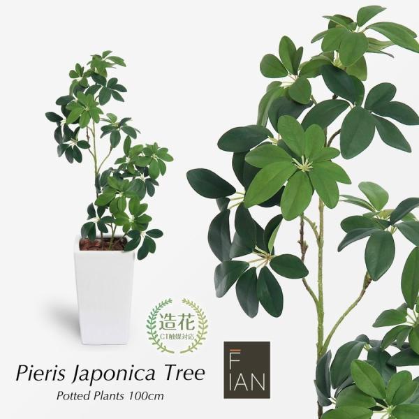 アセビの通販 価格比較 価格 Com