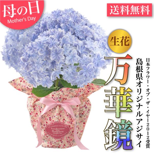 安いアジサイ 万華鏡の通販商品を比較 ショッピング情報のオークファン