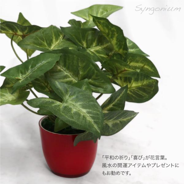 フェイクグリーン 紅白シンゴニウム 22cm 母の日 人工観葉植物 造花 インテリア ミニ 光触媒 Ct触媒 リアル 消臭 おしゃれ Buyee Buyee 日本の通販商品 オークションの代理入札 代理購入