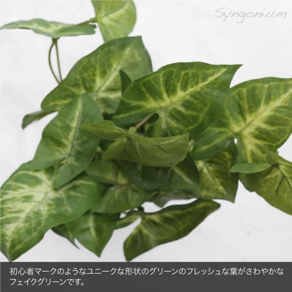 フェイクグリーン 紅白シンゴニウム 22cm 母の日 人工観葉植物 造花 インテリア ミニ 光触媒 Ct触媒 リアル 消臭 おしゃれ Buyee 日本代购平台 产品购物网站大全 Buyee一站式代购 Bot Online