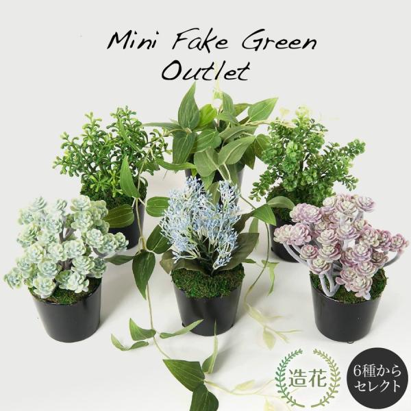 観葉植物 アウトレットの人気商品 通販 価格比較 価格 Com