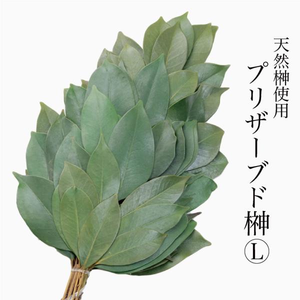 ■商品内容：プリザーブド榊Lサイズ×1本※対でご使用される場合は1対（2本セット）をお買い求めください。■仕様・規格：葉の部分=高さ約24cm×幅約19cm、茎の部分=長さ約12cm■素材：榊(生木・プリザーブド加工済)■原産国：中国■特徴...