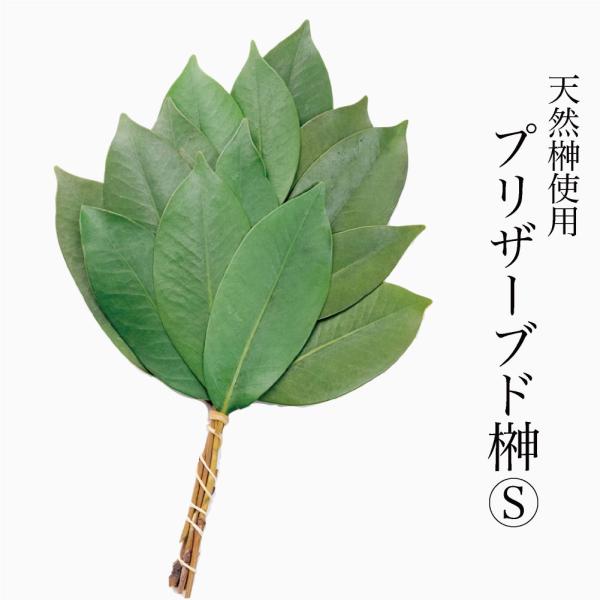 ■商品内容：プリザーブド榊Sサイズ×1本※対でご使用される場合は2本お買い求めください。■仕様・規格：H約23cm×W12-15cm■重量：約12g■素材：榊(生木・プリザーブド加工済)■原産国：中国■特徴：生木の榊を特殊な溶液に漬け込み ...
