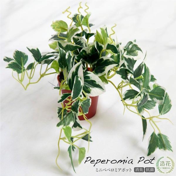 フェイクグリーン 観葉植物 人工観葉 卓上 ミニ 小さい 光触媒 ペペロミアポット SG-1009 造花 リアル