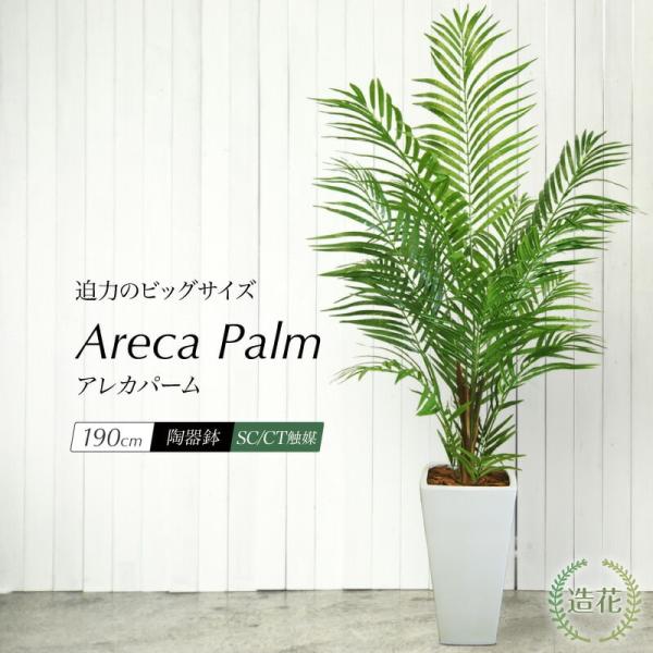 ■商品名：アレカパーム190cm [SC(CT)触媒加工済み][Areca]■サイズ：本体(鉢含む)=高さ約190cm（葉の広げ方で多少前後します）、鉢=□28cm×高さ55cm■材質：本体=人工観葉植物(造花)、鉢=陶器■生産国：日本※北...