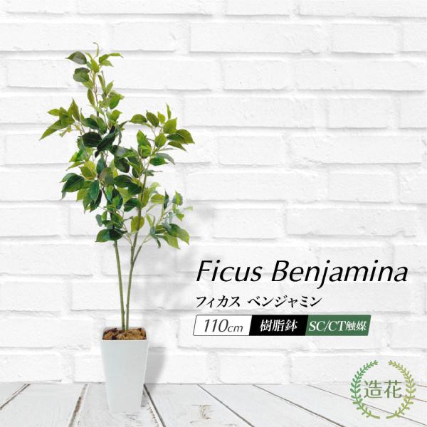 スタイリッシュな110cmが仲間入り！爽やかな葉っぱのグリーンは清々しく清廉な印象。お祝い用の観葉植物として人気■商品名：フィカスツリー 全高110cm（樹脂鉢SSサイズ） [SC(CT)触媒加工済み]■サイズ：本体(鉢含む)=高さ約110...