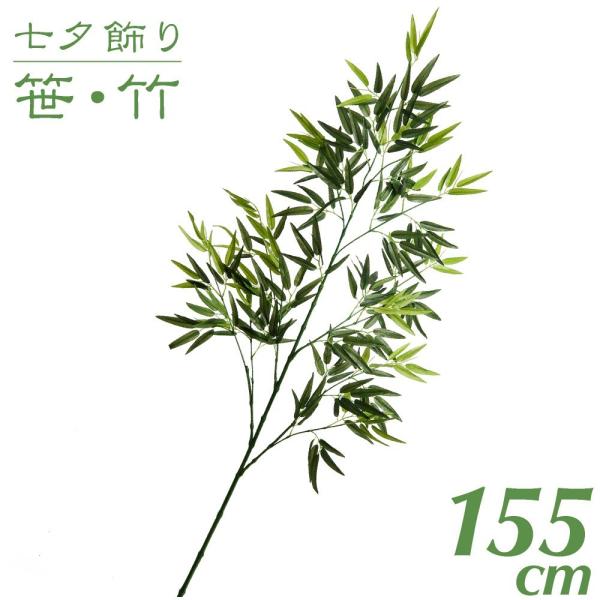 [  |  ou[ 155cm CeA ϗtA ^ lH ۈ牀 wZ { X XX čՂ Ӎ